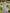 Light Gray V-Neck Chiffon Lantern Sleeve Maxi Dress
