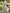 Light Gray V-Neck Chiffon Lantern Sleeve Maxi Dress