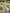 Light Gray V-Neck Chiffon Lantern Sleeve Maxi Dress