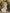 White V-Neck Puff Sleeve Chiffon Slit Maxi Dress