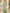 V-Neck Capelet Overlay Chiffon Maxi Dress