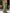 Sage Green Satin Shoulder Maxi Dress