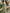 Sage Green Satin Shoulder Maxi Dress