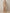 Solid Color Sequined Short Sleeved Satin Maxi Dress