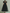 High-necked Tulle Midi Dress