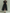 High-necked Tulle Midi Dress