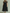 High-necked Tulle Midi Dress