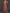 V-Neck Flutter Sleeve Floral Embroidered Tulle A-Line Maxi Dress