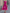 Multi-colored Boat-neck Organza Midi Dress