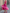 Multi-colored Boat-neck Organza Midi Dress