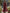 Burgundy Chiffon Deep V Lantern Long Sleeve Tie Maxi Dress