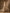 Champagne Colored Satin Chiffon 3D Floral Pattern Maxi Dress
