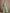 Boat-neck Lace Tulle A-line Maxi Dress