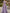 Purple Satin One Shoulder Bow Pleats Maxi Dress