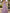 Purple Satin One Shoulder Bow Pleats Maxi Dress