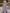 Purple Satin One Shoulder Bow Pleats Maxi Dress