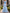 Sage Green Cold Shoulder V-Neck Watercolor Floral Chiffon A-Line Maxi Dress
