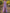 Lavender V-Neck Short Sleeve Chiffon Maxi Dress