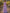 Lavender V-Neck Short Sleeve Chiffon Maxi Dress