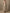 Champagne Colored Tulle Off Shoulder Pleats Maxi Dress