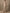 Champagne Colored Tulle Off Shoulder Pleats Maxi Dress