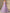 Lavender Colored Sheer Off Shoulder Crossover Maxi Dress
