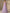 Lavender Colored Sheer Off Shoulder Crossover Maxi Dress