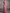 Satin Mesh 3D Floral Pearl Beaded Sleeveless Round Neck Formal Maxi Dress