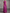 Satin Mesh 3D Floral Pearl Beaded Sleeveless Round Neck Formal Maxi Dress