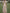 Solid Color Floral Embroidered Tulle V-Neck Ruffle Short Sleeve Maxi Dress