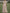 Solid Color Floral Embroidered Tulle V-Neck Ruffle Short Sleeve Maxi Dress