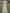 Solid Color Floral Embroidered Tulle V-Neck Ruffle Short Sleeve Maxi Dress