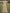 Solid Color Floral Embroidered Tulle V-Neck Ruffle Short Sleeve Maxi Dress