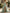 Solid Color Chiffon Multi Layered Ruffles Maxi Dress