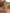 Solid Color Organza One Shoulder Ruffle Maxi Dress