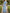 Sky Blue Watercolor Rose Floral Print Chiffon Maxi Dress