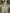 Sky Blue Watercolor Rose Floral Print Chiffon Maxi Dress