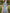 Sky Blue Watercolor Rose Floral Print Chiffon Maxi Dress