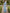 Sky Blue Watercolor Rose Floral Print Chiffon Maxi Dress