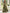 Olive Green Floral Print Satin V-Neck Maxi Dress