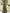 Olive Green Floral Print Satin V-Neck Maxi Dress