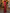 Gathered Round Neck Satin Back Tie & Side Slit Evening Maxi Dress