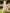 One Shoulder Draped Neck Irregular High Low Hem Chiffon Midi Dress