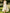 One Shoulder Draped Neck Irregular High Low Hem Chiffon Midi Dress