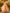 Champagne Colored Chiffon Deep V-Neck Maxi Dress