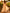 Champagne Colored Chiffon Deep V-Neck Maxi Dress