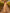 Champagne Colored Chiffon Deep V-Neck Maxi Dress