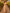 Champagne Colored Chiffon Deep V-Neck Maxi Dress