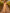 Champagne Colored Chiffon Deep V-Neck Maxi Dress
