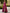 Asymmetrical Shoulder Bag With Fuchsia Floral Print Maxi Dress